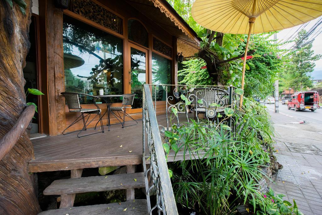 Mountain View Guesthousechiangmai Rumah tetamu Chiang Mai