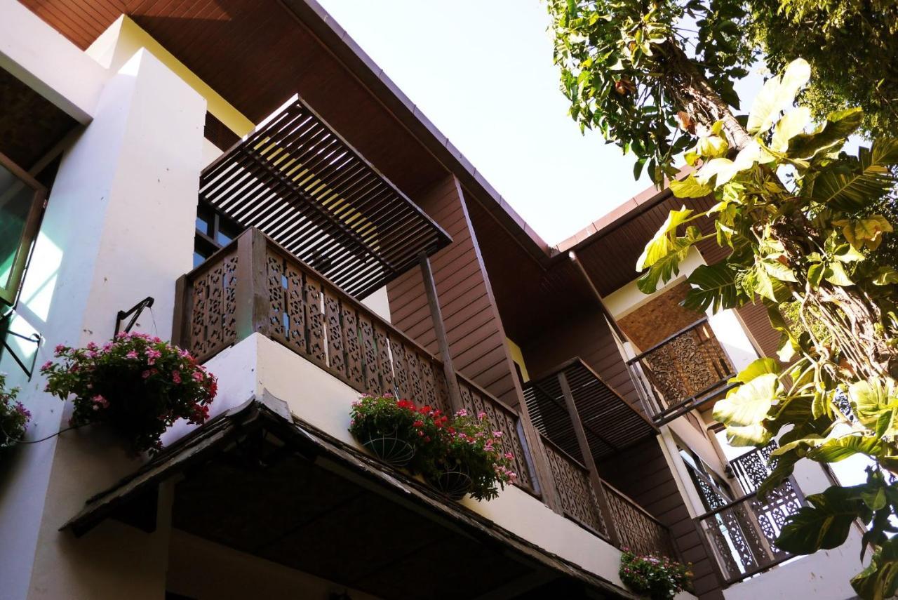 Rumah tetamu Mountain View Guesthousechiangmai